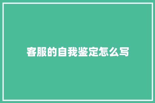 客服的自我鉴定怎么写