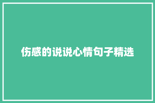 伤感的说说心情句子精选