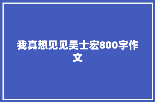 我真想见见吴士宏800字作文