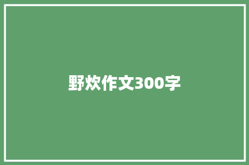 野炊作文300字