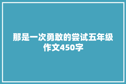 那是一次勇敢的尝试五年级作文450字