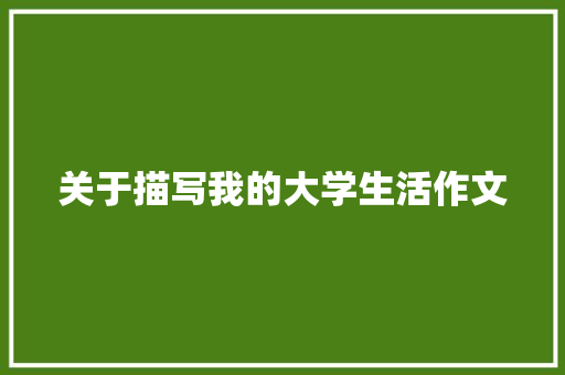 关于描写我的大学生活作文