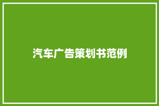 汽车广告策划书范例