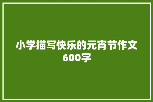 小学描写快乐的元宵节作文600字