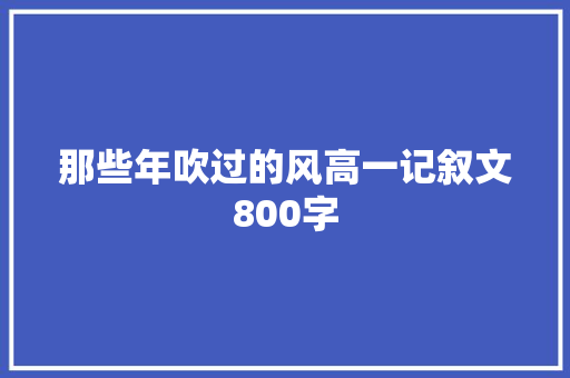 那些年吹过的风高一记叙文800字 会议纪要范文