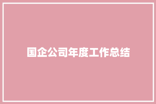 国企公司年度工作总结