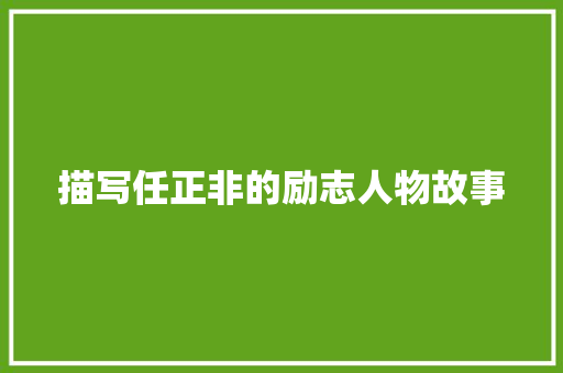 描写任正非的励志人物故事