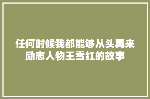 任何时候我都能够从头再来励志人物王雪红的故事 会议纪要范文