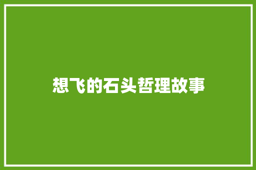 想飞的石头哲理故事