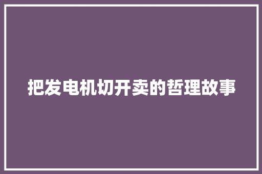 把发电机切开卖的哲理故事 综述范文