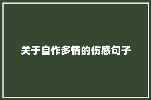 关于自作多情的伤感句子