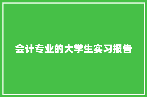 会计专业的大学生实习报告