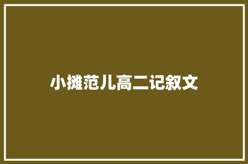 小摊范儿高二记叙文