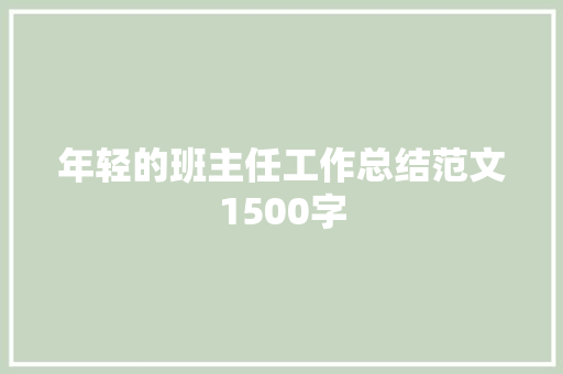 年轻的班主任工作总结范文1500字