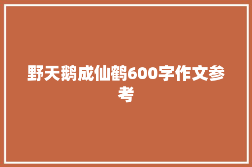 野天鹅成仙鹤600字作文参考