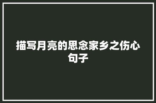 描写月亮的思念家乡之伤心句子