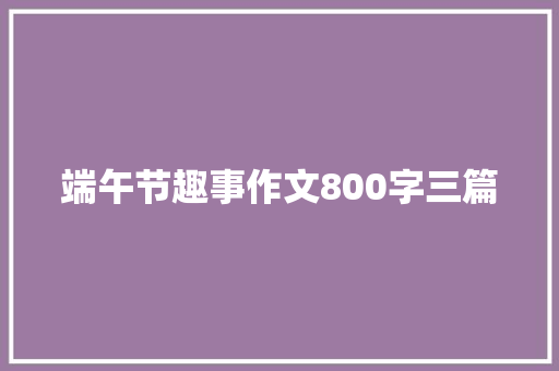 端午节趣事作文800字三篇