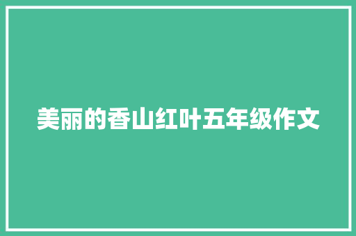 美丽的香山红叶五年级作文