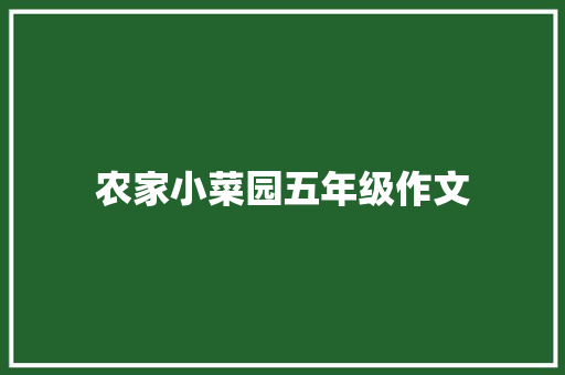 农家小菜园五年级作文