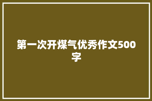 第一次开煤气优秀作文500字