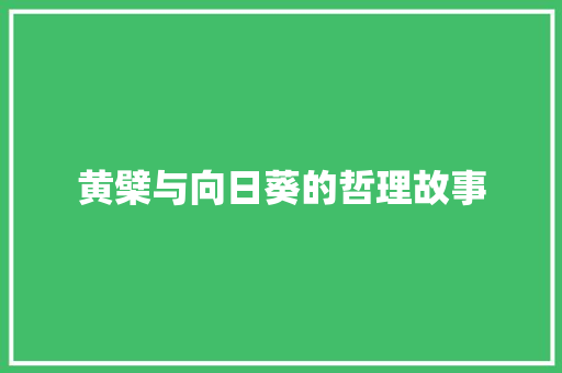 黄檗与向日葵的哲理故事