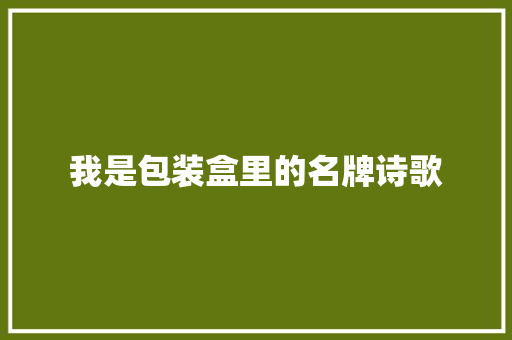 我是包装盒里的名牌诗歌