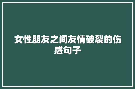 女性朋友之间友情破裂的伤感句子