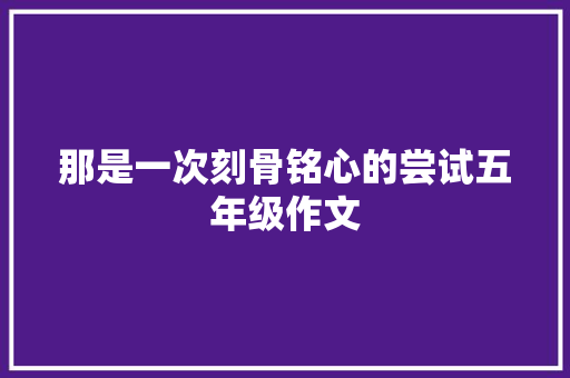 那是一次刻骨铭心的尝试五年级作文