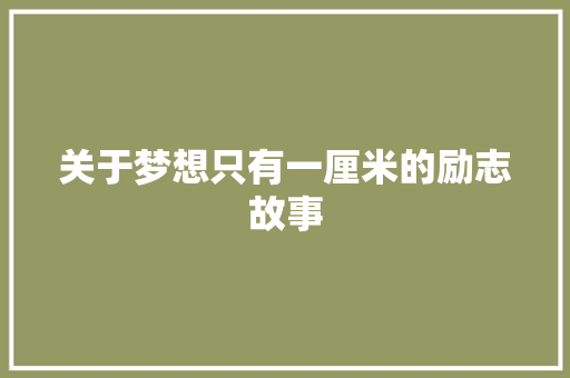 关于梦想只有一厘米的励志故事