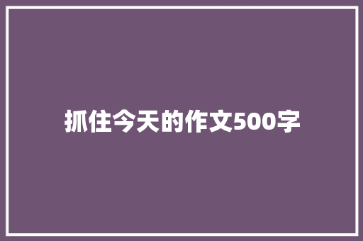 抓住今天的作文500字