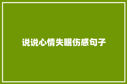 说说心情失眠伤感句子