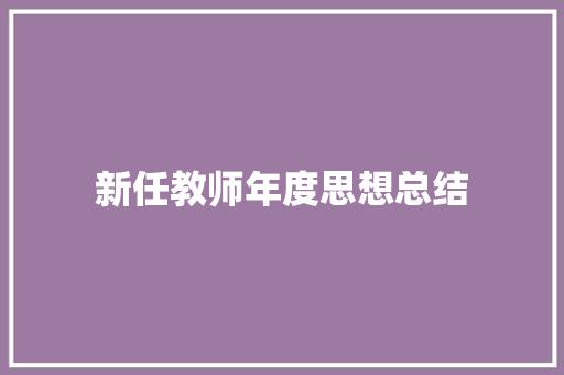 新任教师年度思想总结