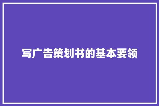 写广告策划书的基本要领