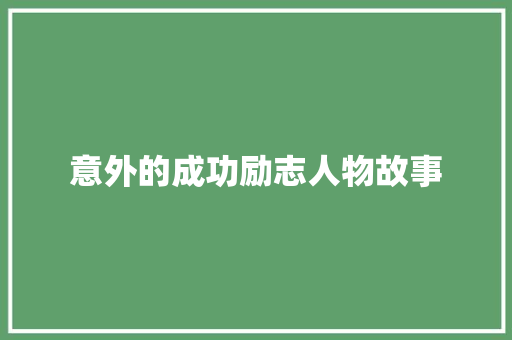 意外的成功励志人物故事