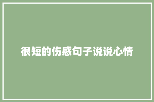 很短的伤感句子说说心情