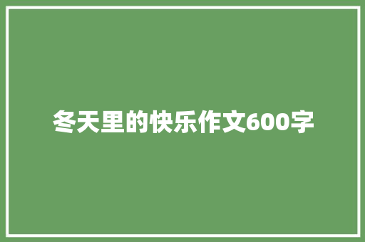 冬天里的快乐作文600字