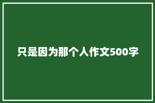 只是因为那个人作文500字