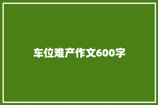 车位难产作文600字