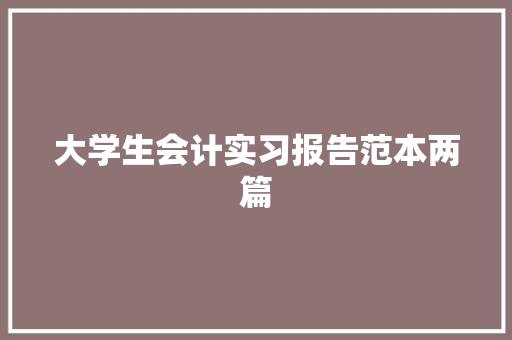 大学生会计实习报告范本两篇