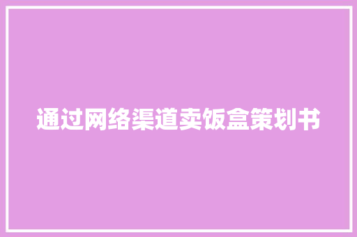 通过网络渠道卖饭盒策划书