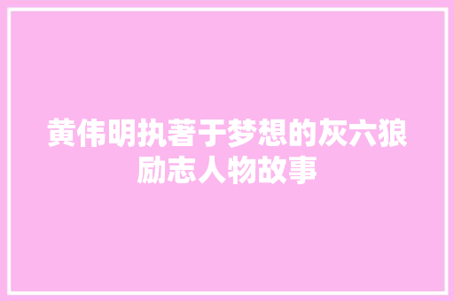 黄伟明执著于梦想的灰六狼励志人物故事