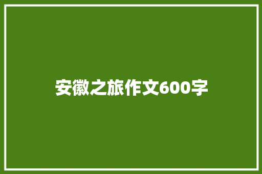 安徽之旅作文600字