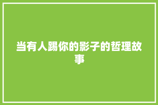 当有人踢你的影子的哲理故事