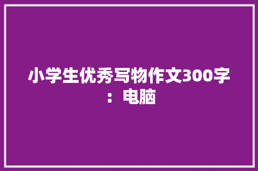 小学生优秀写物作文300字：电脑