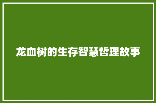 龙血树的生存智慧哲理故事