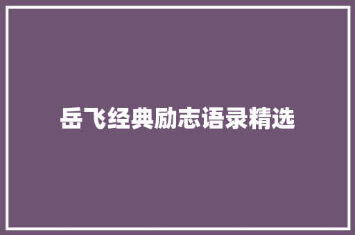 岳飞经典励志语录精选