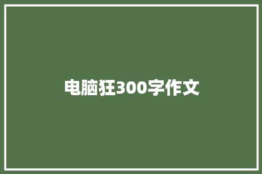 电脑狂300字作文