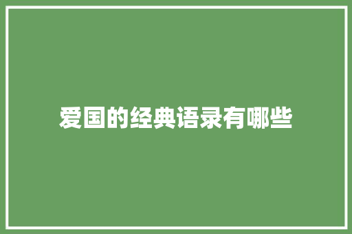 爱国的经典语录有哪些