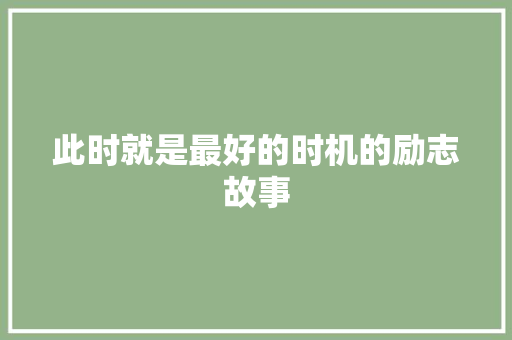 此时就是最好的时机的励志故事