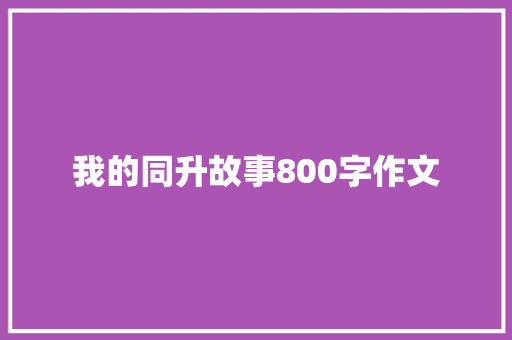 我的同升故事800字作文